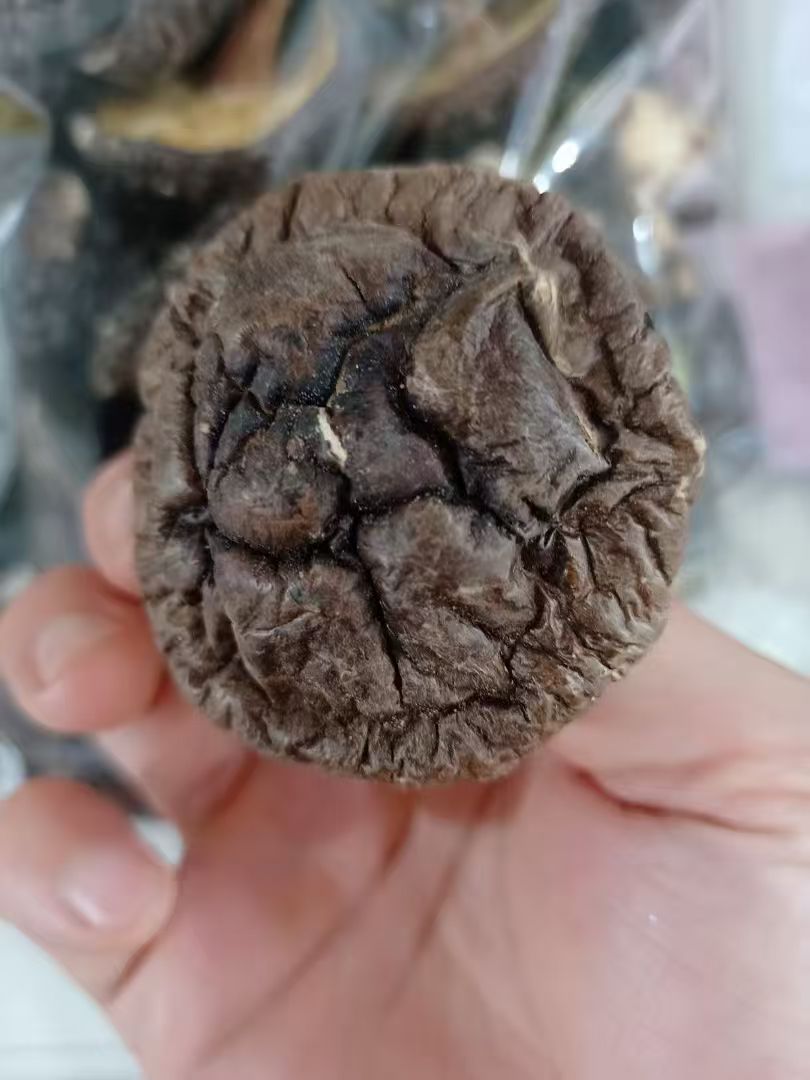 椴木香菇 有机香菇天然无农药无硫磺 肉厚香浓 菌菇干货精选500克 | Organic Oak Wood Shiitake Mushroom - Natural Pesticide-Free Sulfur-Free Thick Rich Flavor 500g