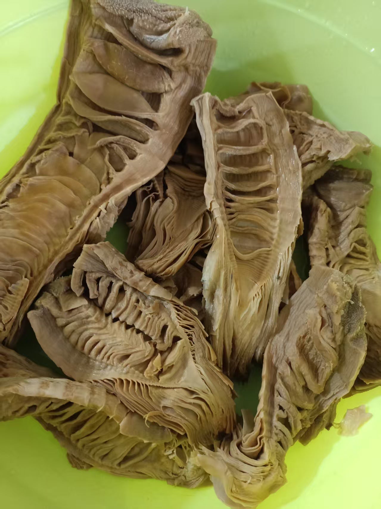 日晒白笋干 无盐全干毛笋尖 无硫磺笋味十足 农户精选500克 | Sun-Dried White Bamboo Shoots - Salt-Free Fully Dried Sulfur-Free Rich Flavor 500g