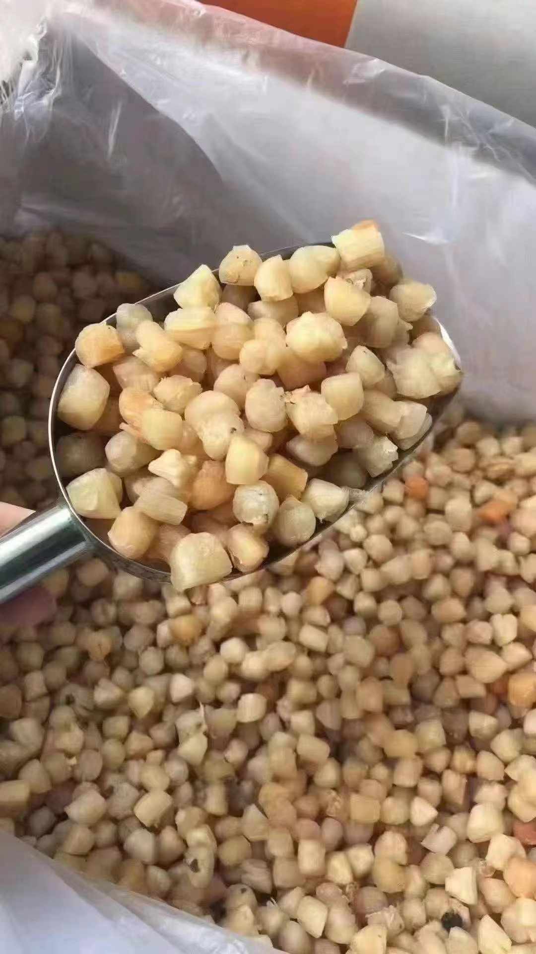 全干大干贝-特级淡晒干贝 高蛋白鲜味浓 煲汤海鲜干货 精选500克 | Premium Large Dried Scallops - Lightly Salted High-Protein Rich Flavor Soup Seafood 500g