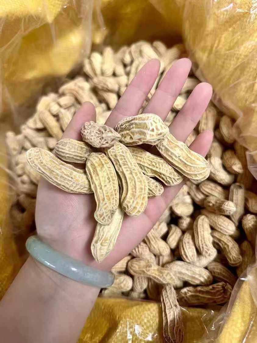 七彩花生 清甜新鲜饱满 营养健康小零食 人工精选500克 | Colorful Peanuts - Sweet Fresh Plump Nutritious Healthy Snack Hand-Selected 500g