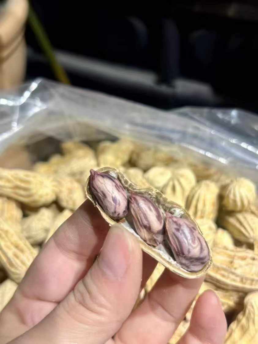 七彩花生 清甜新鲜饱满 营养健康小零食 人工精选500克 | Colorful Peanuts - Sweet Fresh Plump Nutritious Healthy Snack Hand-Selected 500g