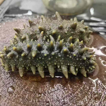 辽宁刺参 全干淡干 高纯度高泡发率 滋补海鲜干货精选250克 |  Liaoning Sea Cucumber - Fully Dried Lightly Salted High Purity High Rehydration Rate 250g
