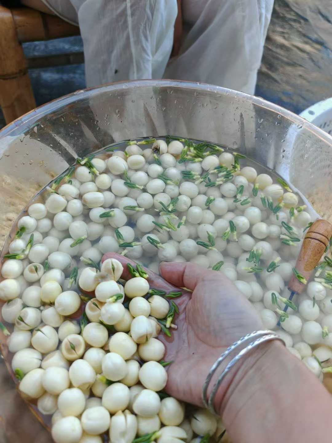 正宗建宁本地莲子 建宁莲子农户精选 通心白莲子500克 ｜ Authentic Jianning Lotus Seeds - Premium White Lotus Seeds with Core 500g