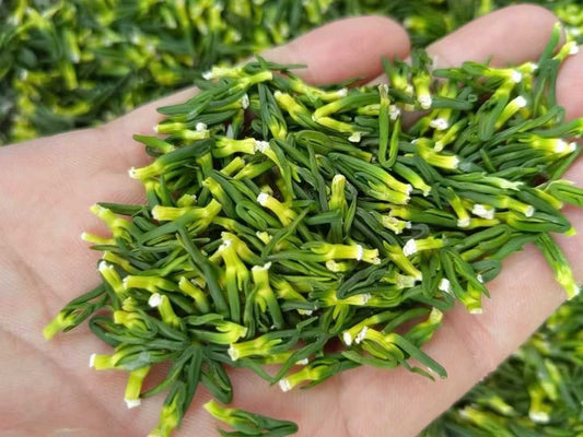 建宁莲心 清心火祛烦躁 清热解毒养生茶 农家精选500克 | Jianning Lotus Plumule - Calming Heart Fire Heat-Clearing Detox Herbal Tea 500g