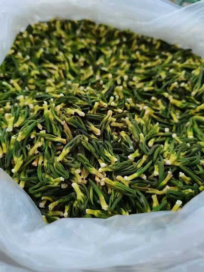 建宁莲心 清心火祛烦躁 清热解毒养生茶 农家精选500克 | Jianning Lotus Plumule - Calming Heart Fire Heat-Clearing Detox Herbal Tea 500g