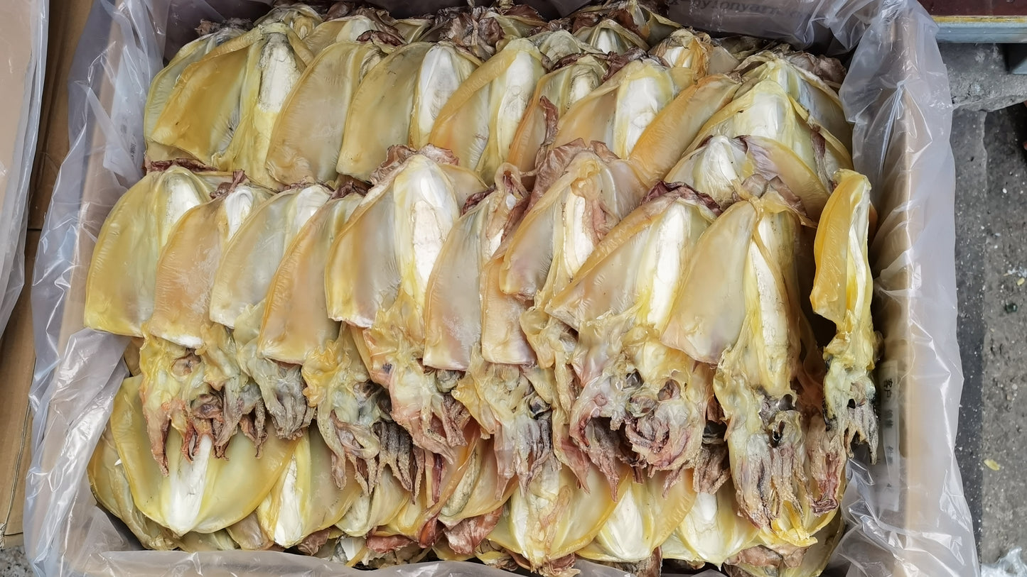 特级淡干目鱼干 全干高蛋白低脂 煲汤炖煮海鲜干货500克 |  Premium Dried Cuttlefish - Lightly Salted High-Protein Low-Fat Soup Seafood 500g