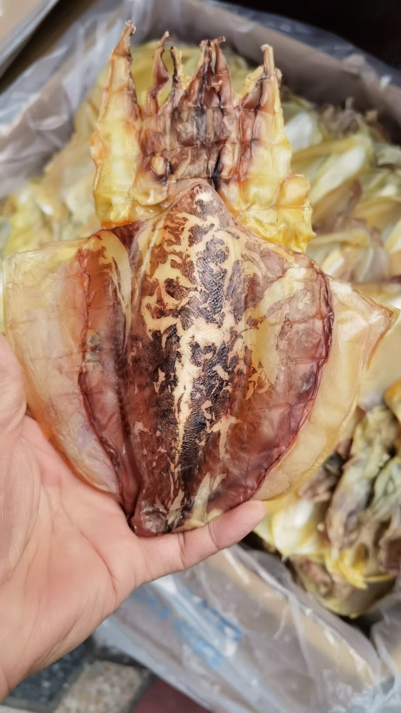 特级淡干目鱼干 全干高蛋白低脂 煲汤炖煮海鲜干货500克 |  Premium Dried Cuttlefish - Lightly Salted High-Protein Low-Fat Soup Seafood 500g