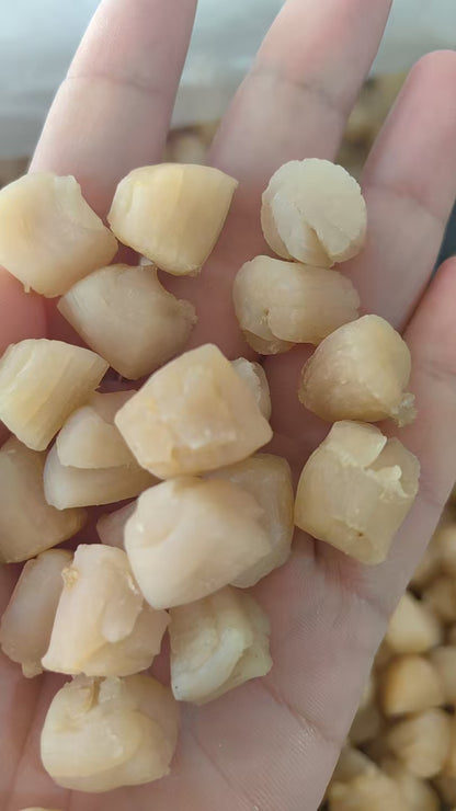 全干大干贝-特级淡晒干贝 高蛋白鲜味浓 煲汤海鲜干货 精选500克 | Premium Large Dried Scallops - Lightly Salted High-Protein Rich Flavor Soup Seafood 500g