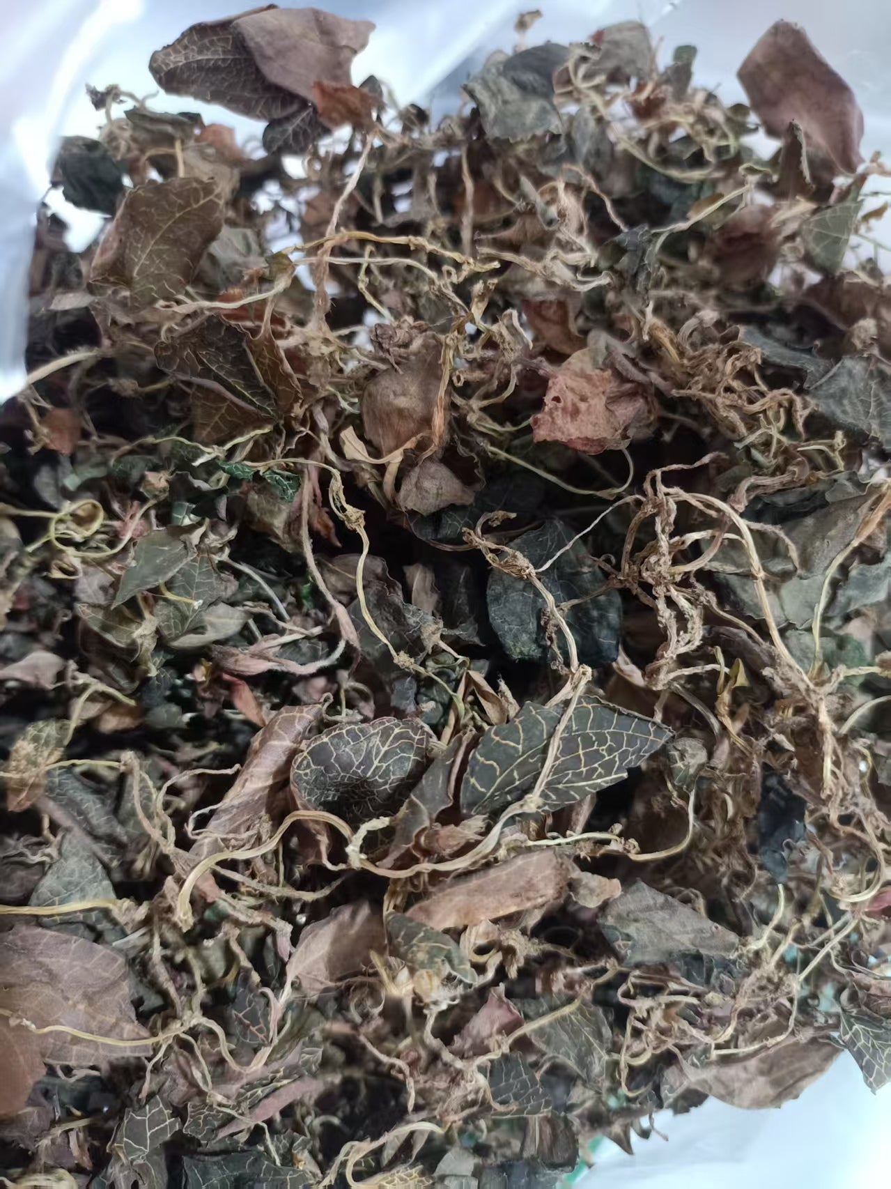 野生金线莲-纯天然无农药 清热解毒，养肝护肝 50克｜Wild Anoectochilus Roxburghii - Pure Natural Pesticide-Free Liver Detox Herb 50g