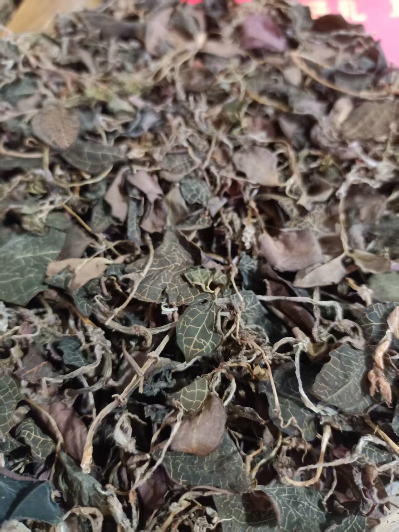 野生金线莲-纯天然无农药 清热解毒，养肝护肝 50克｜Wild Anoectochilus Roxburghii - Pure Natural Pesticide-Free Liver Detox Herb 50g