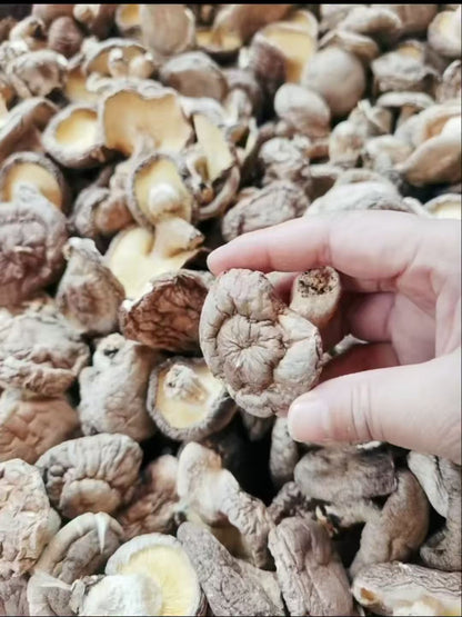 丑香菇 无硫磺肉厚实 香味浓郁 菌菇干货农家精选500克 |  Rustic Shiitake Mushroom - Sulfur-Free Thick Meaty Rich Aroma Farm-Selected 500g