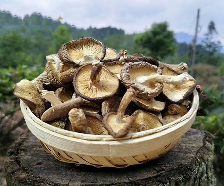丑香菇 无硫磺肉厚实 香味浓郁 菌菇干货农家精选500克 |  Rustic Shiitake Mushroom - Sulfur-Free Thick Meaty Rich Aroma Farm-Selected 500g