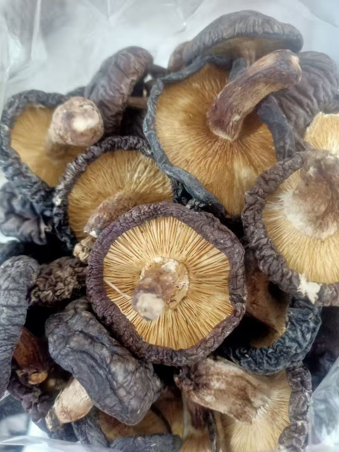 椴木香菇 有机香菇天然无农药无硫磺 肉厚香浓 菌菇干货精选500克 | Organic Oak Wood Shiitake Mushroom - Natural Pesticide-Free Sulfur-Free Thick Rich Flavor 500g