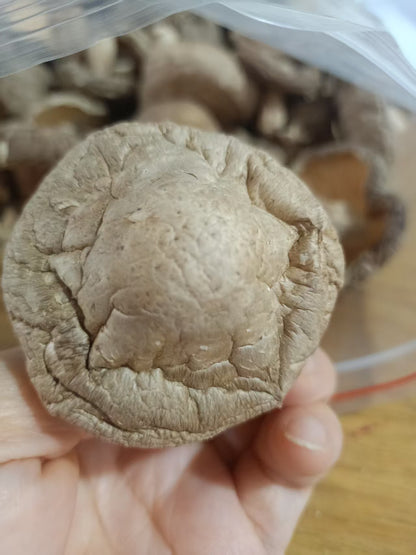 丑香菇 无硫磺肉厚实 香味浓郁 菌菇干货农家精选500克 |  Rustic Shiitake Mushroom - Sulfur-Free Thick Meaty Rich Aroma Farm-Selected 500g