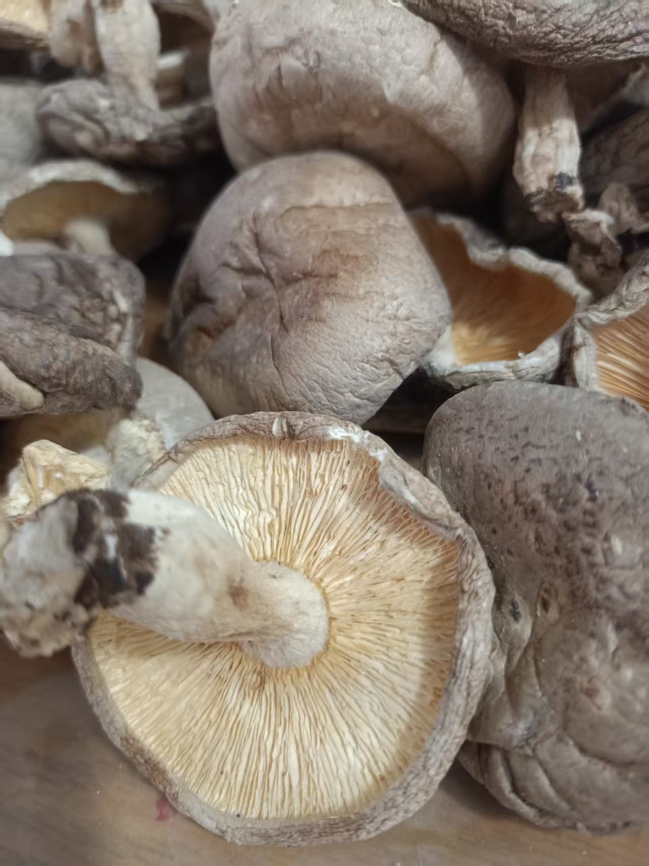 丑香菇 无硫磺肉厚实 香味浓郁 菌菇干货农家精选500克 |  Rustic Shiitake Mushroom - Sulfur-Free Thick Meaty Rich Aroma Farm-Selected 500g