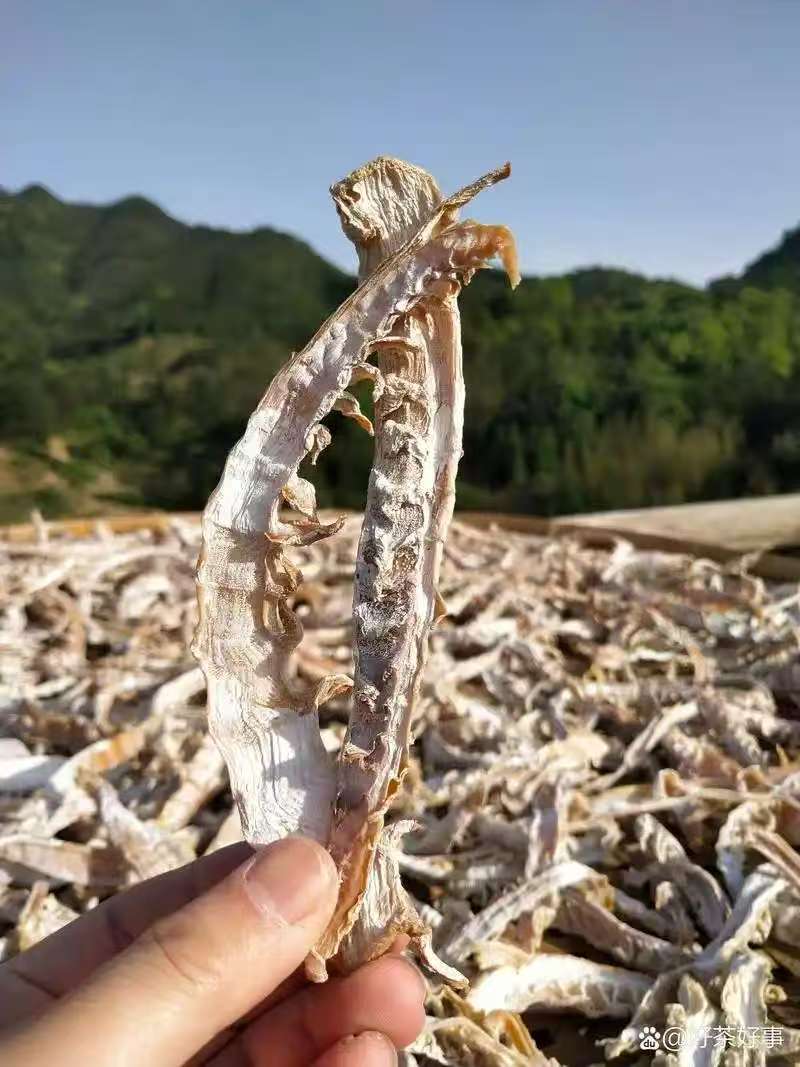 日晒白笋干 无盐全干毛笋尖 无硫磺笋味十足 农户精选500克 | Sun-Dried White Bamboo Shoots - Salt-Free Fully Dried Sulfur-Free Rich Flavor 500g