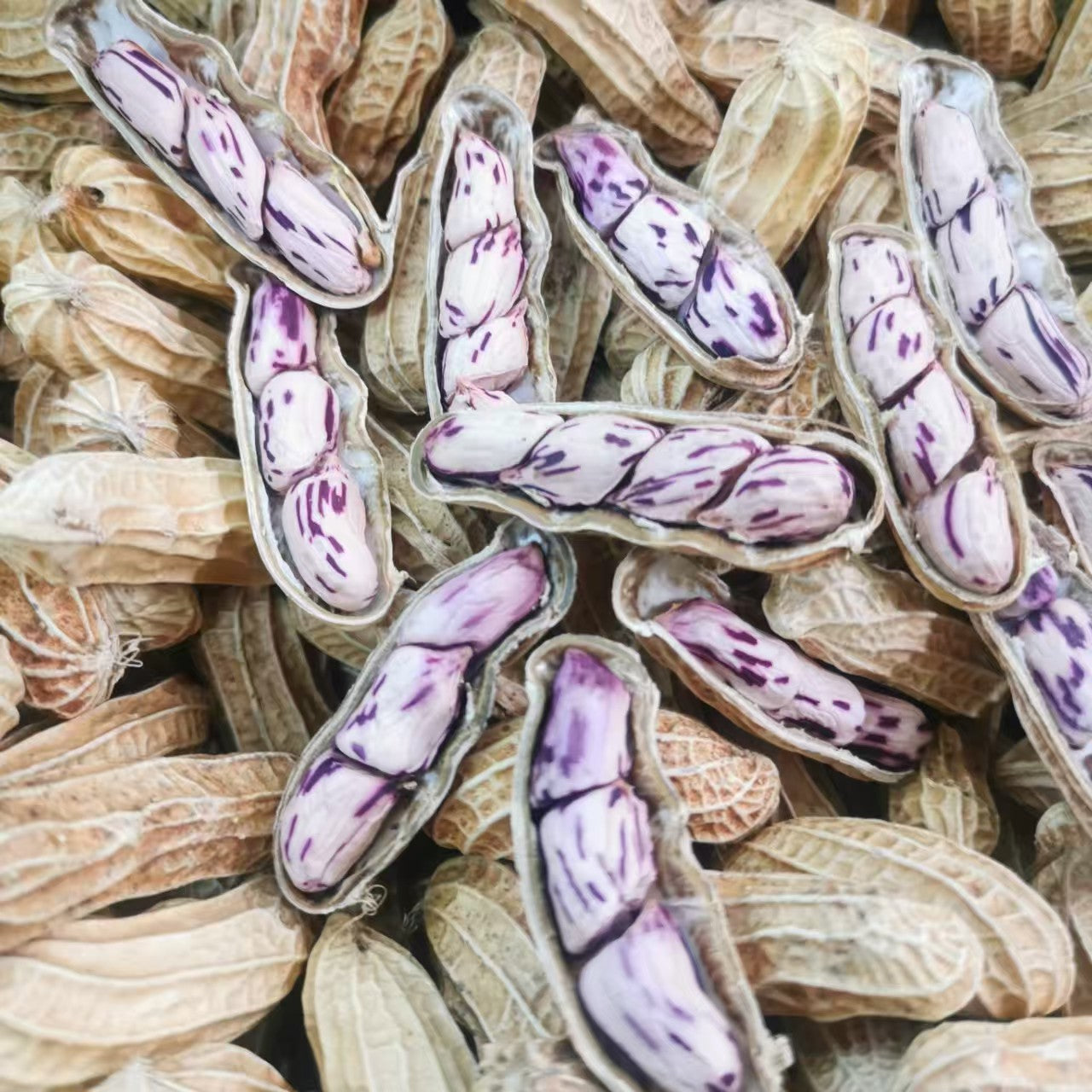 七彩花生 清甜新鲜饱满 营养健康小零食 人工精选500克 | Colorful Peanuts - Sweet Fresh Plump Nutritious Healthy Snack Hand-Selected 500g