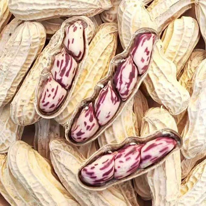 七彩花生 清甜新鲜饱满 营养健康小零食 人工精选500克 | Colorful Peanuts - Sweet Fresh Plump Nutritious Healthy Snack Hand-Selected 500g