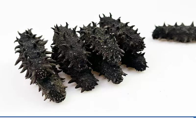 辽宁刺参 全干淡干 高纯度高泡发率 滋补海鲜干货精选250克 |  Liaoning Sea Cucumber - Fully Dried Lightly Salted High Purity High Rehydration Rate 250g