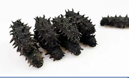 辽宁刺参 全干淡干 高纯度高泡发率 滋补海鲜干货精选250克 |  Liaoning Sea Cucumber - Fully Dried Lightly Salted High Purity High Rehydration Rate 250g