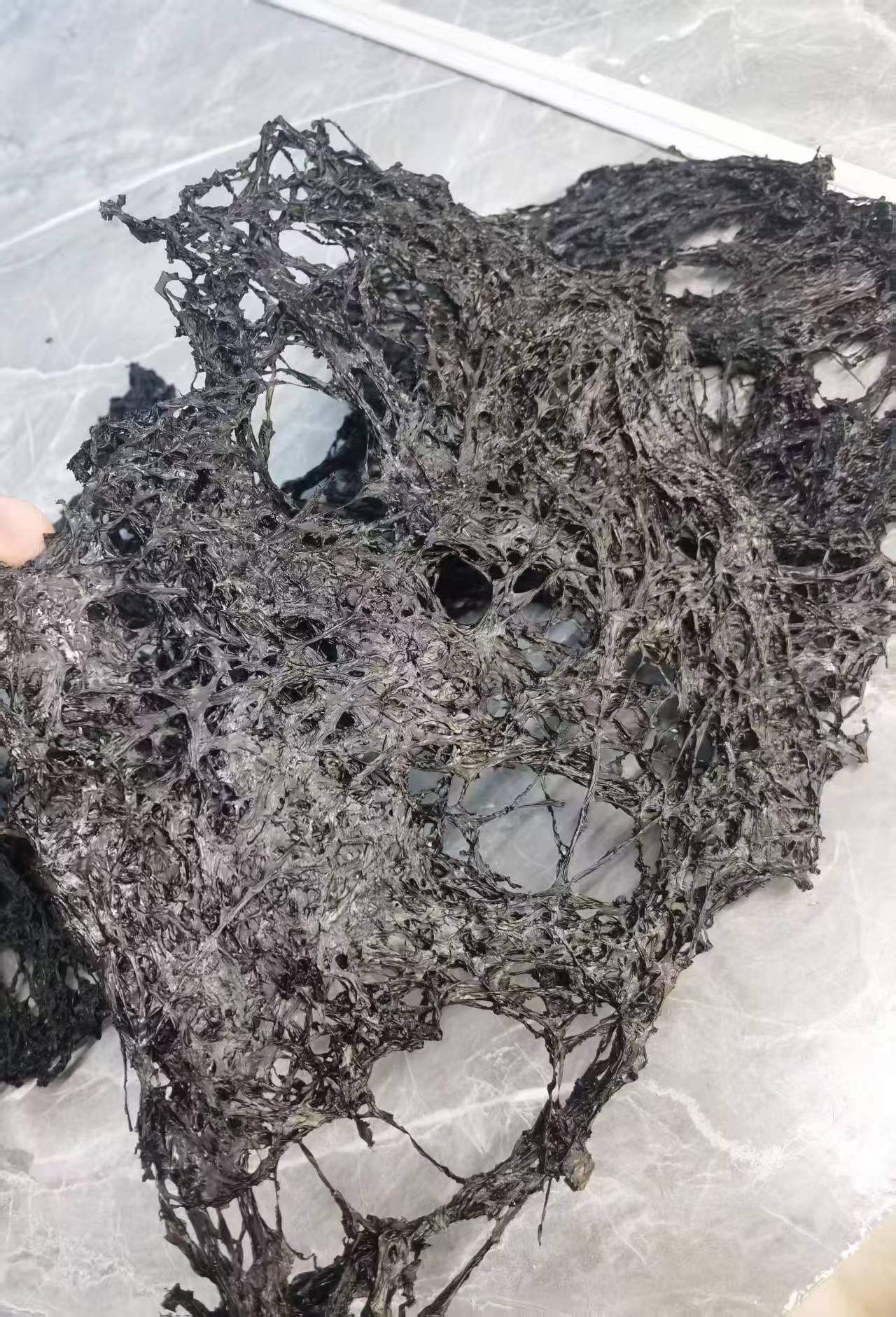 平潭头水紫菜 特级免洗无沙 营养海鲜干货 第一茬采摘 精选500克 ｜ Pingtan First Harvest Laver 500g Premium Washed Sand-Free Nutritious Seafood Dried Goods