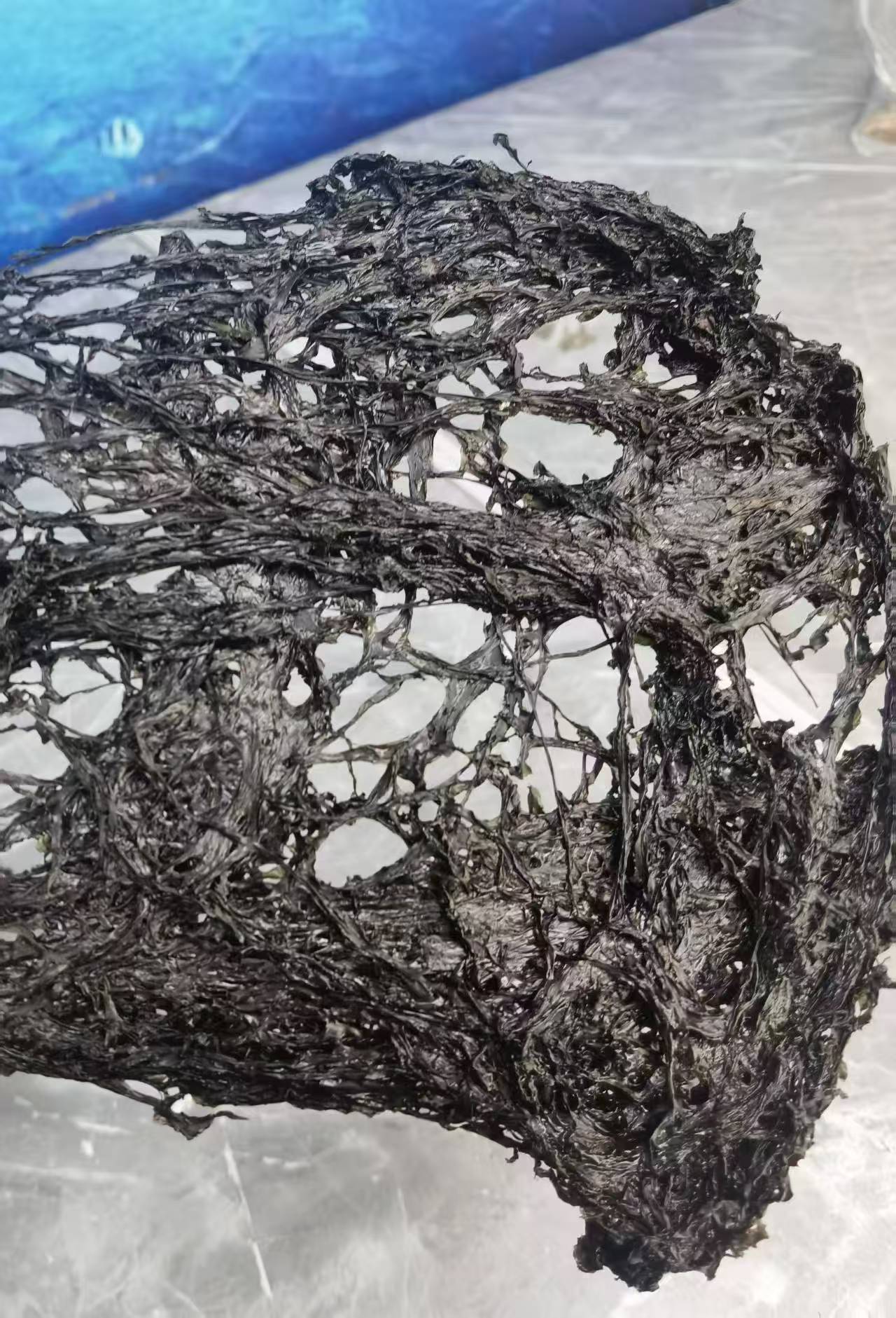 平潭头水紫菜 特级免洗无沙 营养海鲜干货 第一茬采摘 精选500克 ｜ Pingtan First Harvest Laver 500g Premium Washed Sand-Free Nutritious Seafood Dried Goods