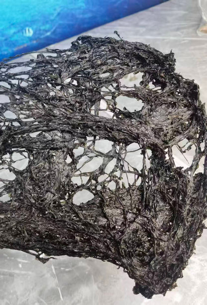 平潭头水紫菜 特级免洗无沙 营养海鲜干货 第一茬采摘 精选500克 ｜ Pingtan First Harvest Laver 500g Premium Washed Sand-Free Nutritious Seafood Dried Goods