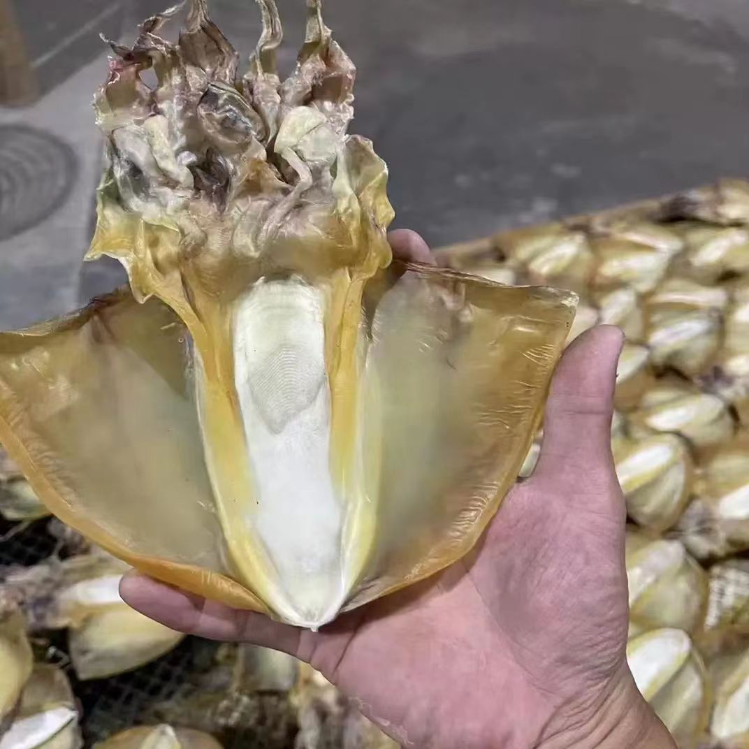 特级淡干目鱼干 全干高蛋白低脂 煲汤炖煮海鲜干货500克 |  Premium Dried Cuttlefish - Lightly Salted High-Protein Low-Fat Soup Seafood 500g