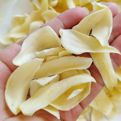 特级大片龙牙百合 无硫磺 原生态中药材 润肺安神滋补干货精选500克 | Premium Large Dragon Tooth Lily Bulb - Sulfur-Free Natural Herbal Lung Nourishing 500g