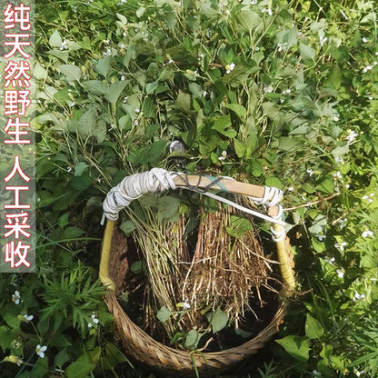 野生鱼腥草 自然晒干中药材 清热解毒泡茶 抗菌消炎养生茶500克 ｜Wild Houttuynia Cordata - Natural Sun-Dried Herbal Tea Heat-Clearing Detox Anti-Bacterial 500g