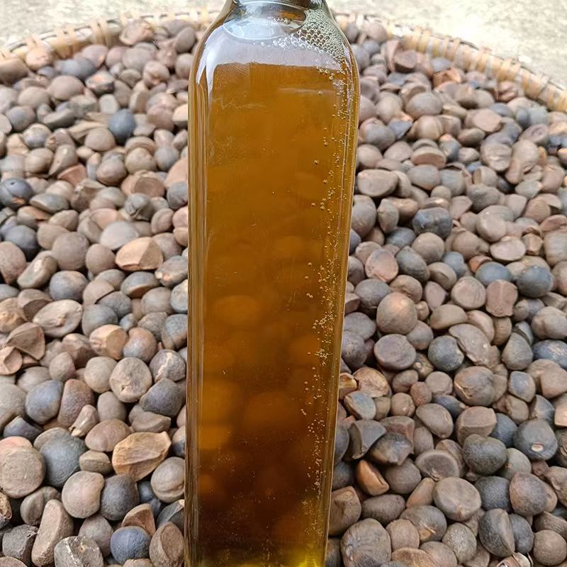 野生山茶油 纯天然冷榨茶籽油 无农药无添加 精选500克｜Wild Camellia Oil - Pure Cold-Pressed Tea Seed Oil - Pesticide-Free & Additive-Free - Premium 500g