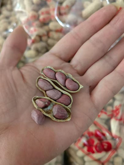 龙岩湿烤花生福建特产紫衣花生 500克装Longyan Wet-Roasted Peanuts | Fujian Purple-Skin Peanuts 500g