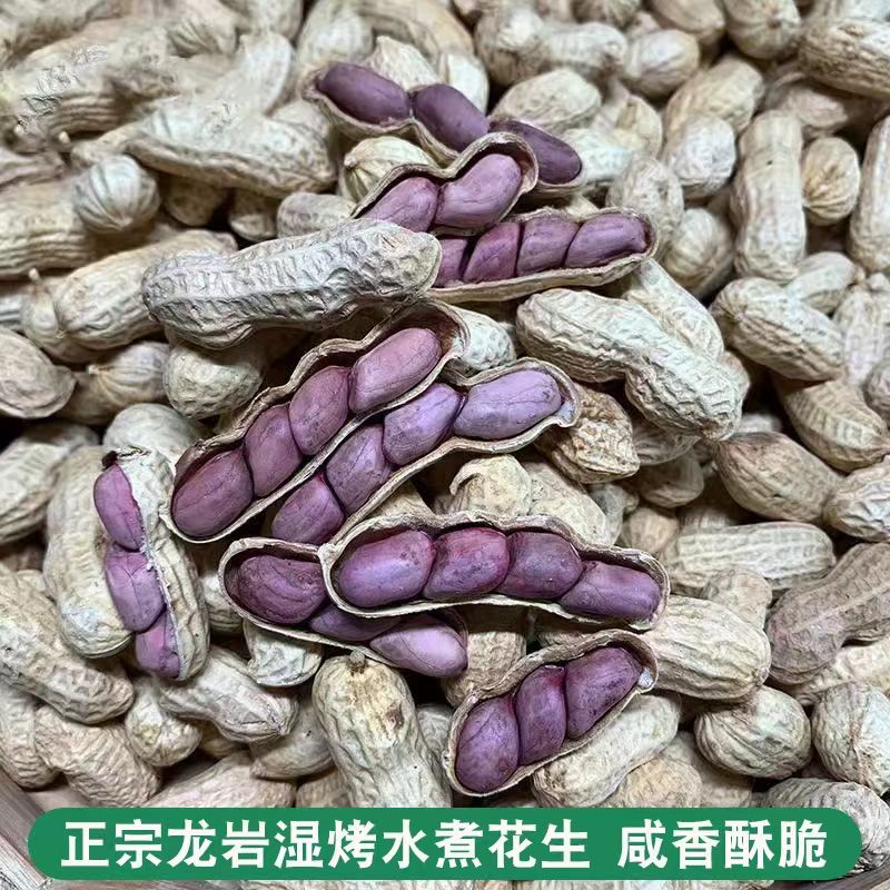 龙岩湿烤花生福建特产紫衣花生 500克装Longyan Wet-Roasted Peanuts | Fujian Purple-Skin Peanuts 500g