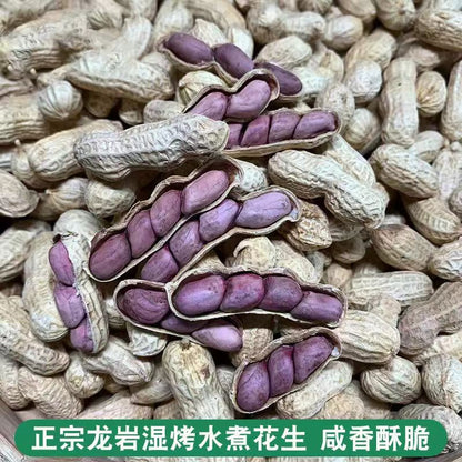 龙岩湿烤花生福建特产紫衣花生 500克装Longyan Wet-Roasted Peanuts | Fujian Purple-Skin Peanuts 500g