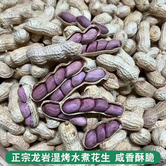 龙岩湿烤花生福建特产紫衣花生 500克装Longyan Wet-Roasted Peanuts | Fujian Purple-Skin Peanuts 500g