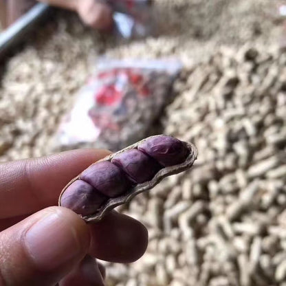 龙岩湿烤花生福建特产紫衣花生 500克装Longyan Wet-Roasted Peanuts | Fujian Purple-Skin Peanuts 500g